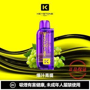 钥石 KEYSTONE FLEX-3 25000口 專彈專機套裝：圖片 7